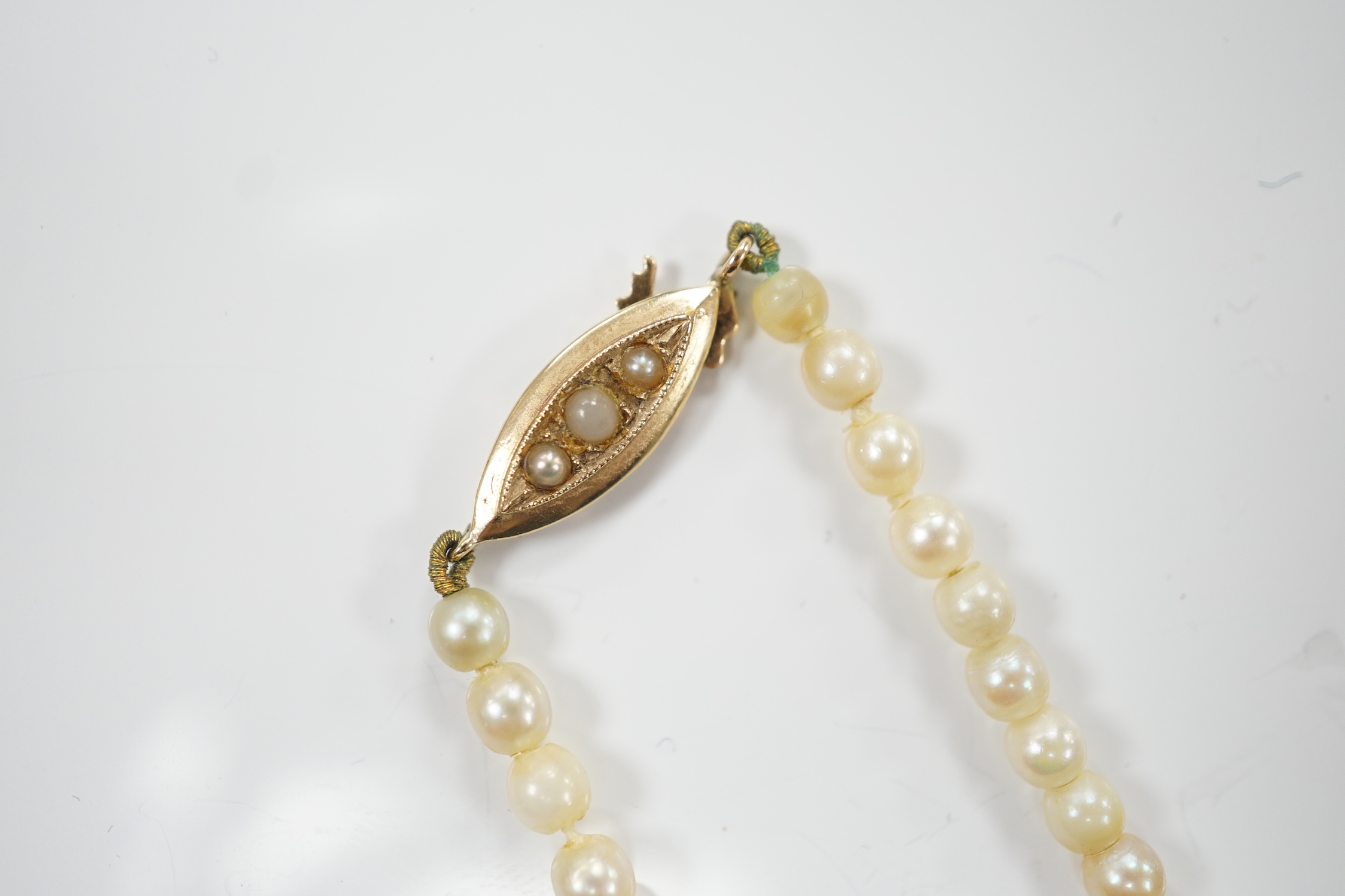 A single strand graduated cultured pearl necklace, with 9ct gold and cultured pearl set clasp, 40cm.